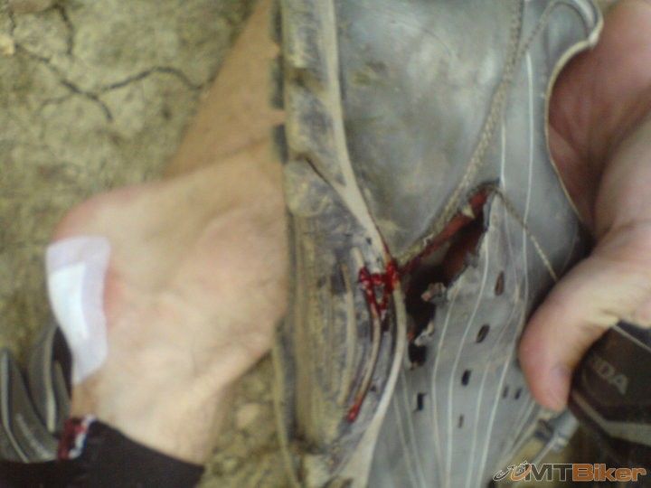 basic 25.4.2010 5.jpg