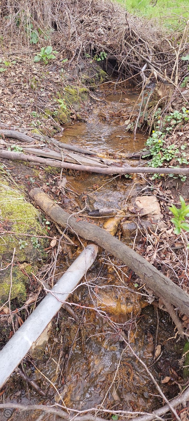 pramen BANA potok.jpg