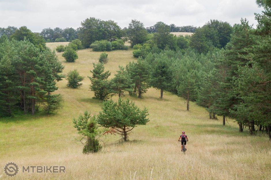 20190723_13-16-44_1-500 sec at f - 6,4_ISO 400_68 mm_STRV5385.jpg