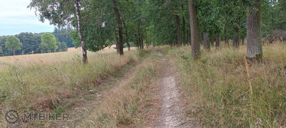 pred varvažovskou pasekou.jpg