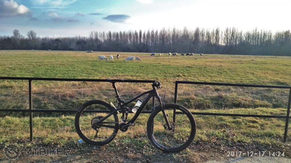 IMG_20171217_142446 (2).jpg