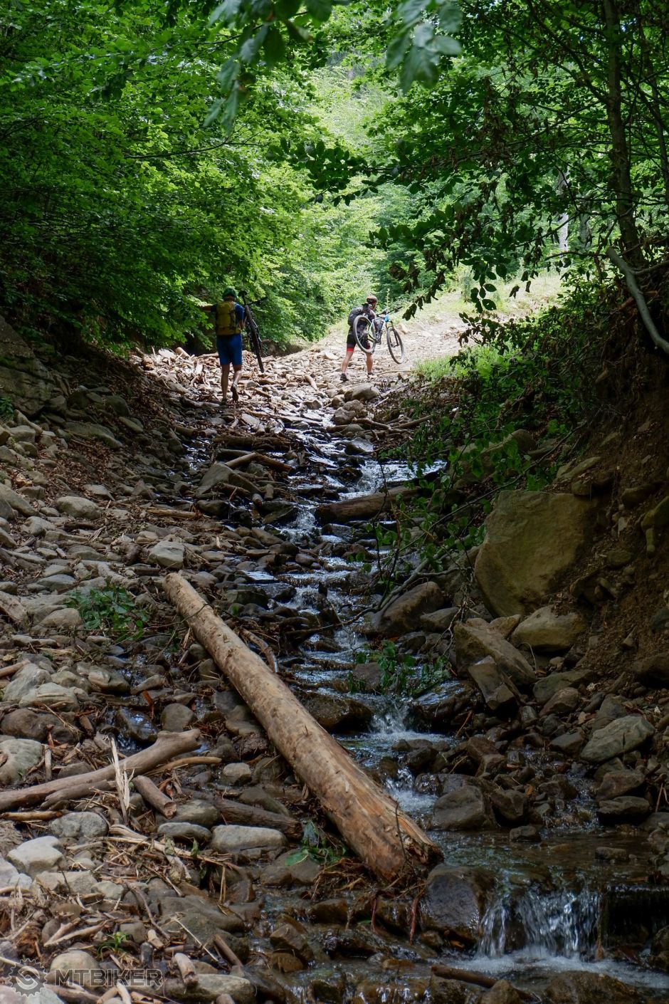 20190705_11-06-24_1-125 sec at f - 5,3_ISO 800_60 mm_RODN1444.jpg