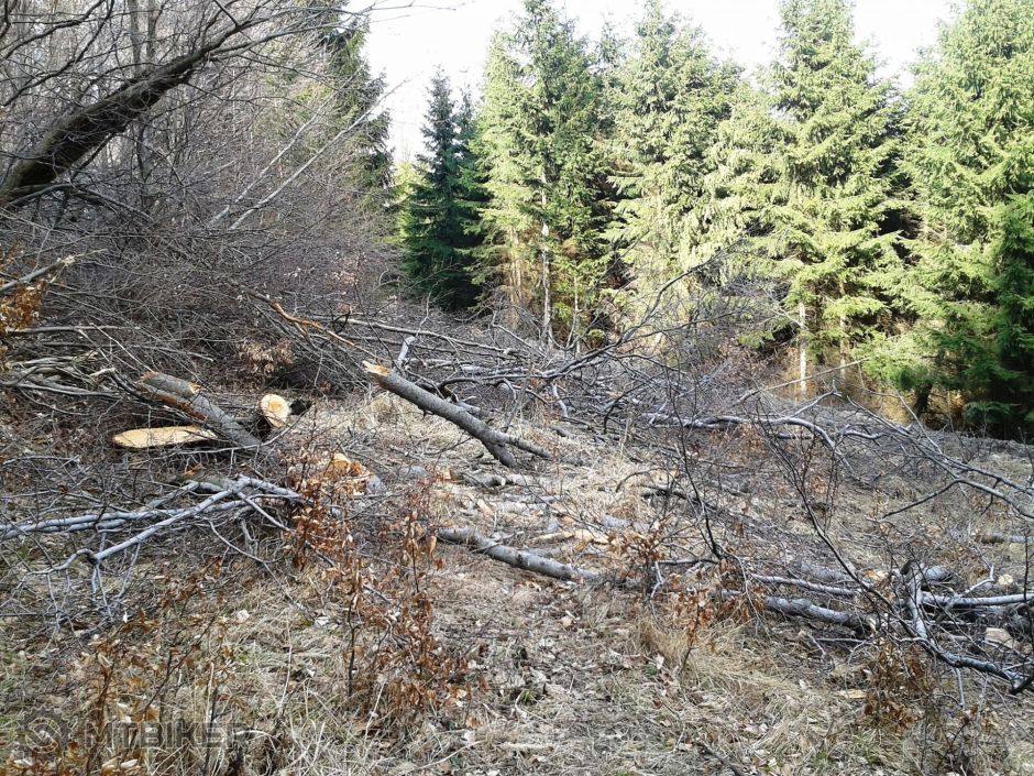 2014-03-23 14.56.33.jpg