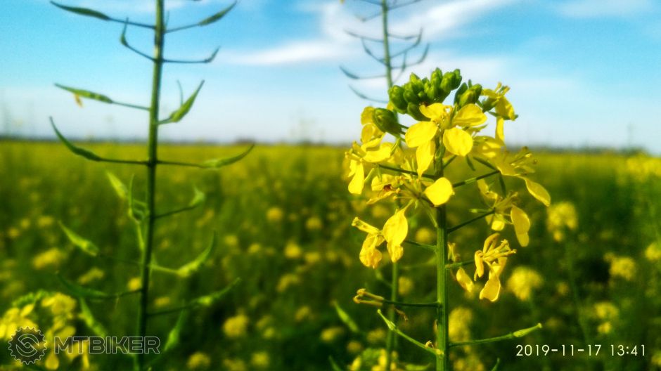 IMG_20191117_134121_HDR (2).jpg