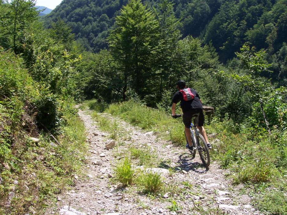 Snímek 001 (Large).jpg