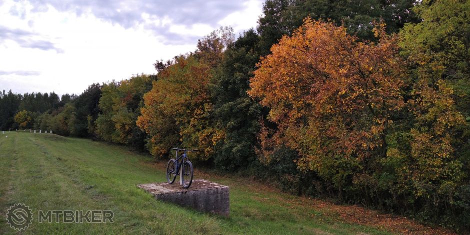 IMG_20201010_145240_1 (2).jpg