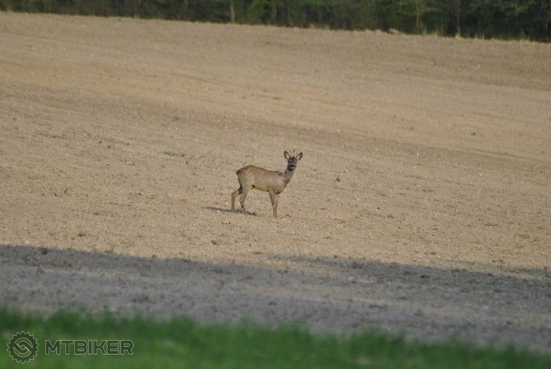 _DSC1170 (800x536).jpg