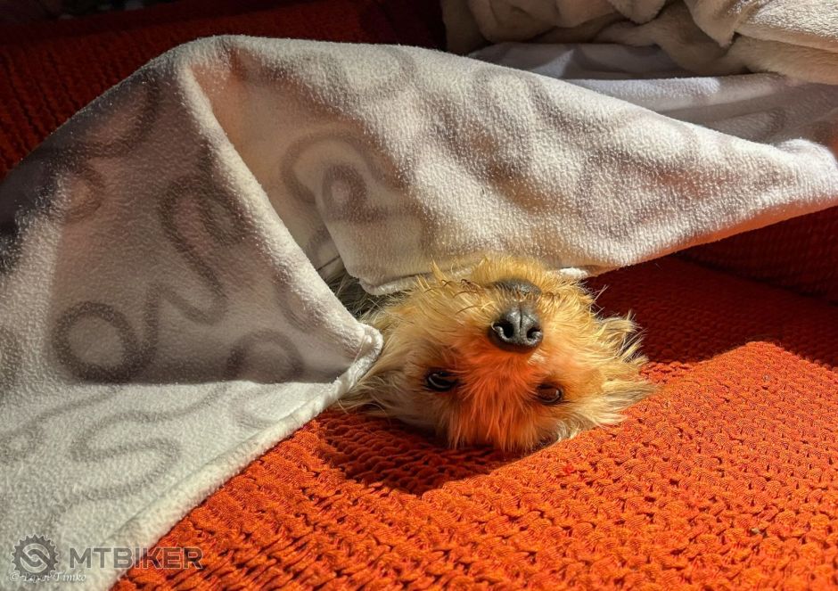 Dorka v kresle 001.jpg