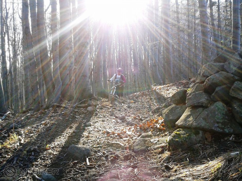 2014-03-09 15.17.57.jpg