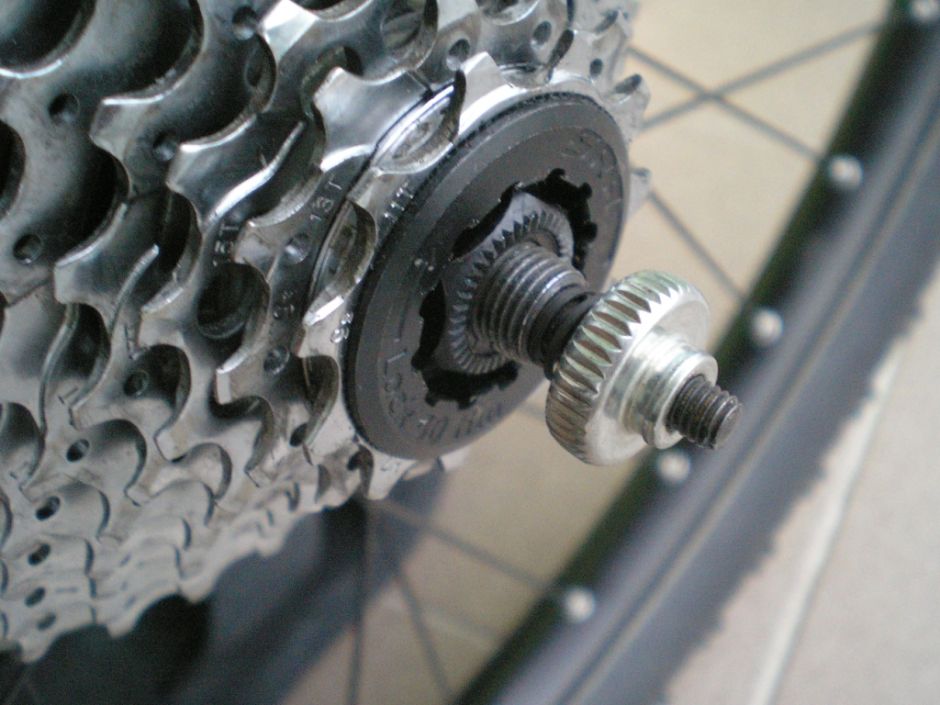 P6150036 - kópia.JPG