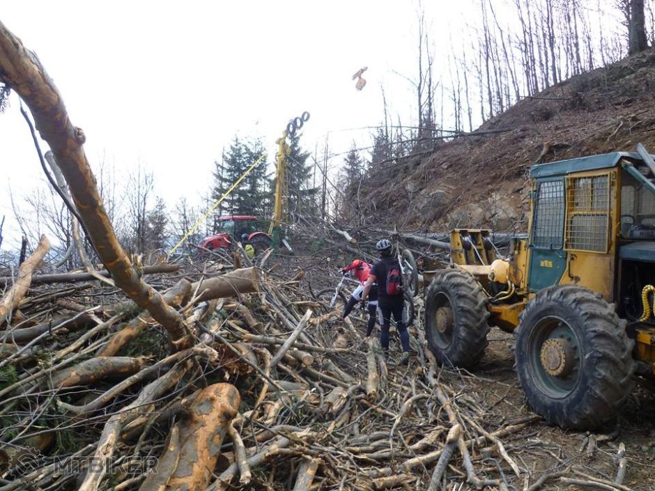 Kalamita po lesníkoch.jpg