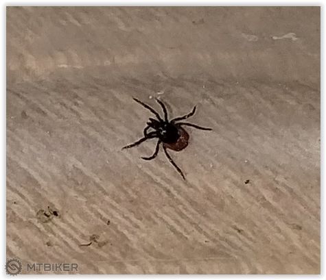 Screen Shot 06-17-23 at 06.07 PM.PNG