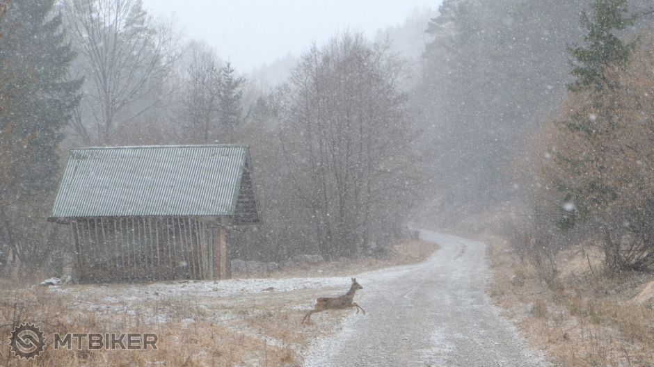 200322-16h36m58s1-400 sec at f - 5,6_ISO 1250_75 mmDSCF2499.jpg