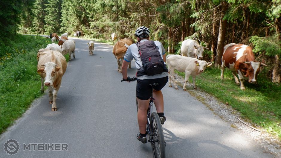 20190628_15-33-07_1-125 sec at f - 5,0_ISO 200_24 mm_POLN9909.jpg