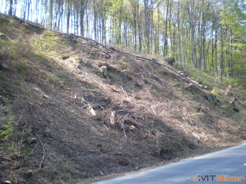 udavske pod lesom vyrubane.JPG