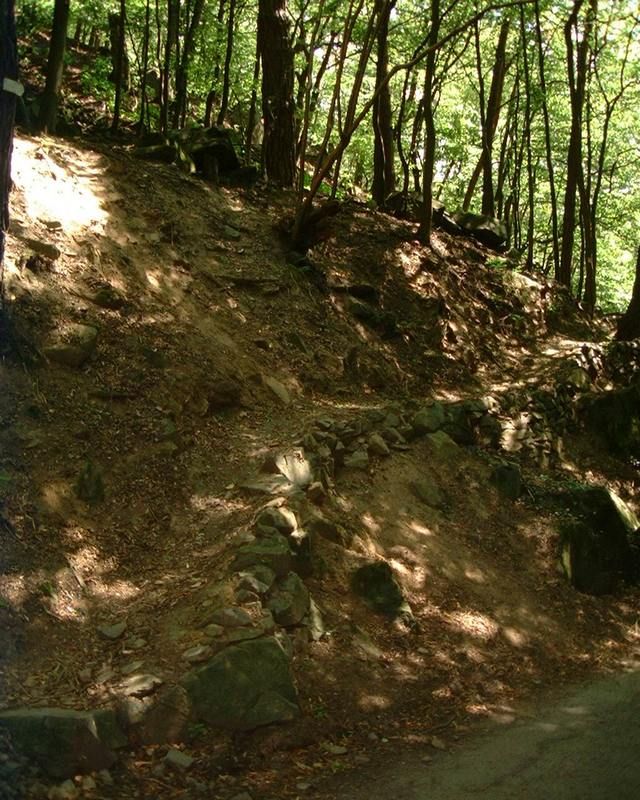 034_cesticka je uzka,plna sutrov a korenov,napravo zraz_Kocour.JPG