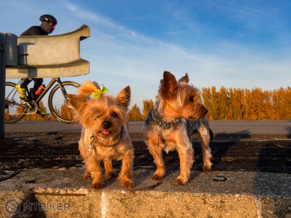 Blšky podvečer-001.jpg