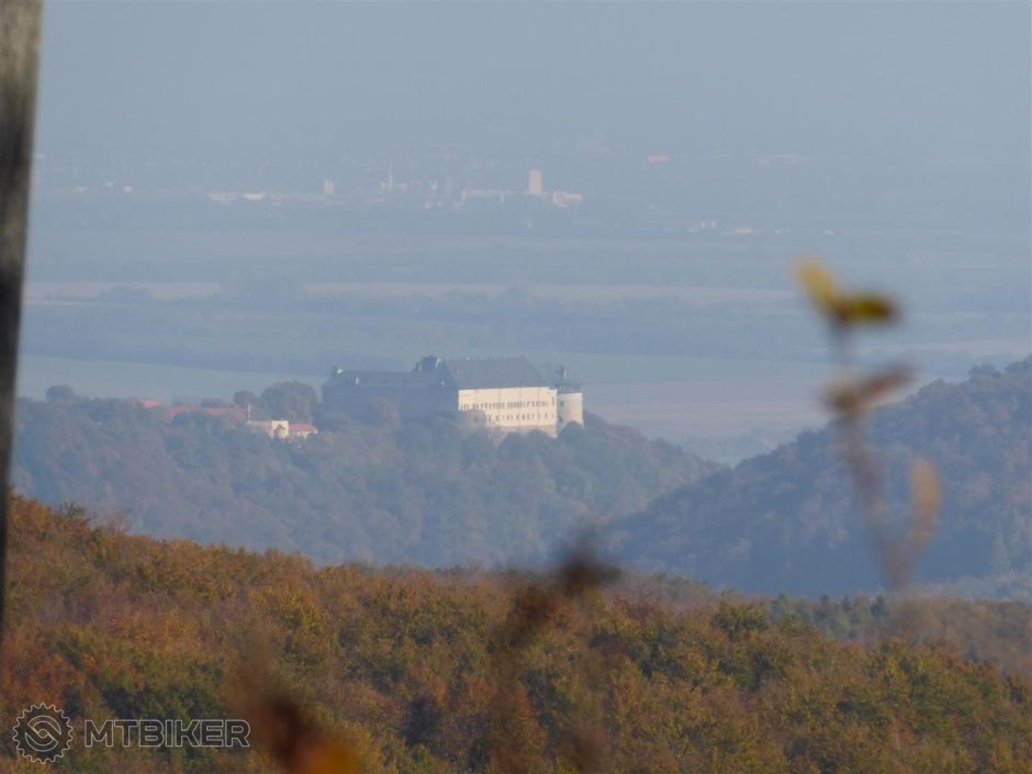 P1000766 (Large).JPG