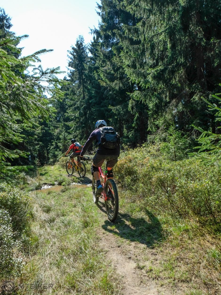 20200915_13-15-41_1-340s_F5,6_ISO 200_24 1358.jpg