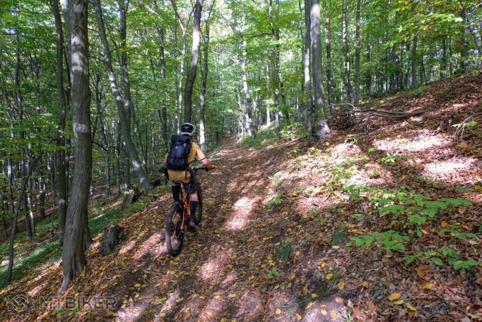 20221008_09-47-36_1-200s_F3,5_ISO 800_24_9451.jpg