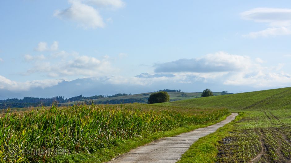 20190914_08-41-06_1-750 s_F13_ISO 400_52 0015.jpg