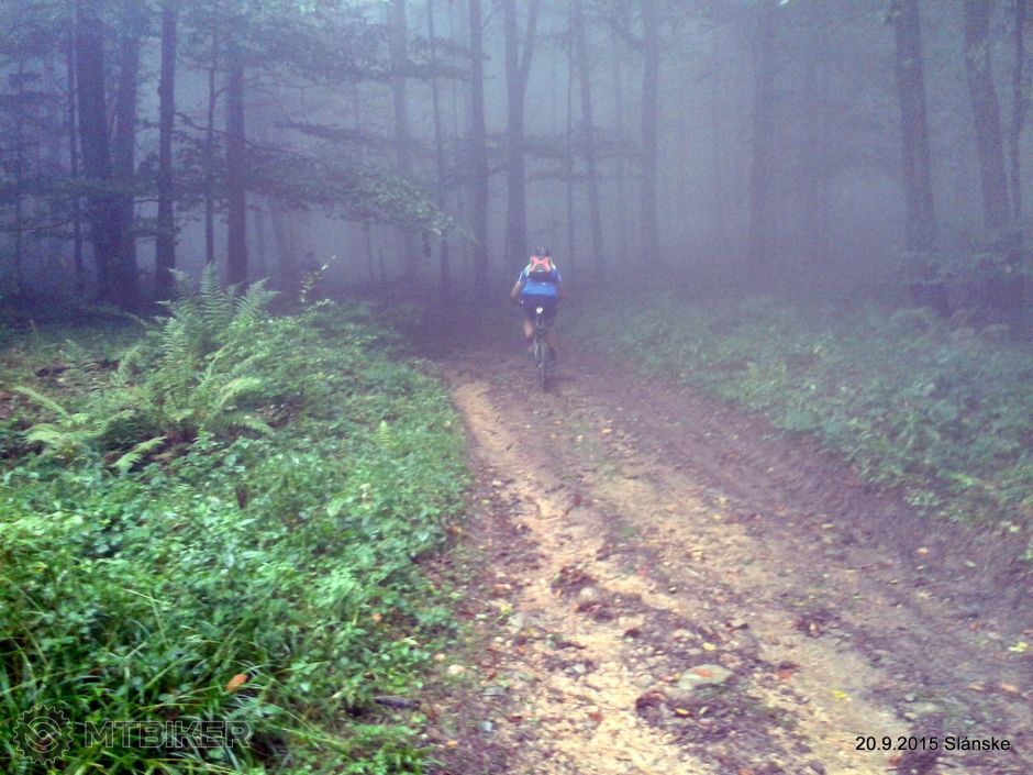 1-2015-09-20 11.35.54.jpg