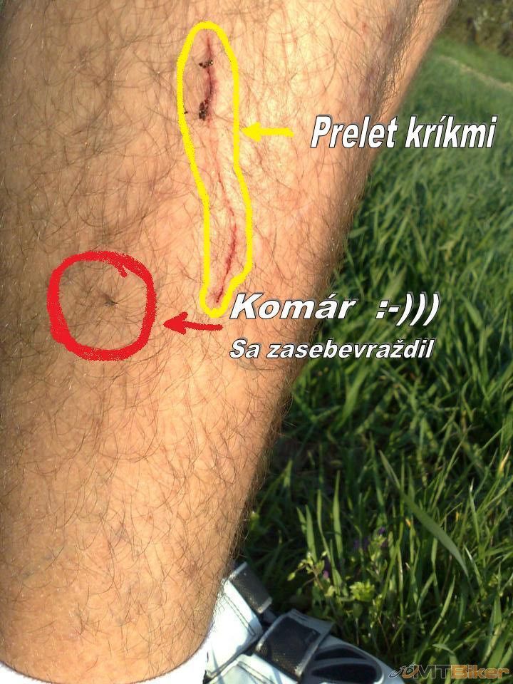 Cestou - necestou.jpg