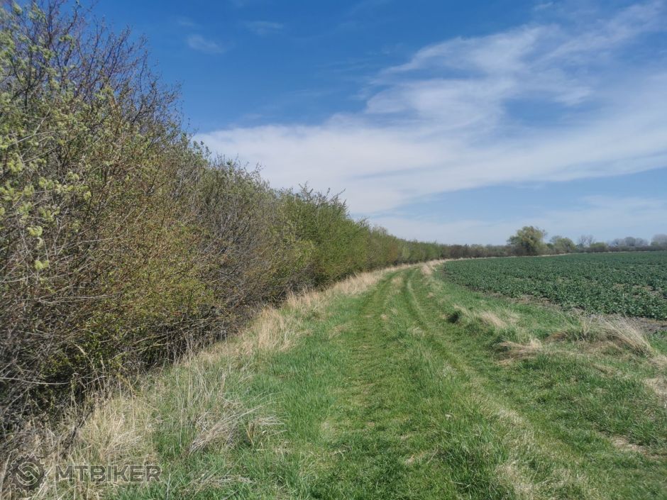 FOTO 20220414 (6).jpg