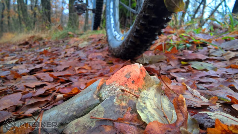 04. Plešovica Trail.jpg