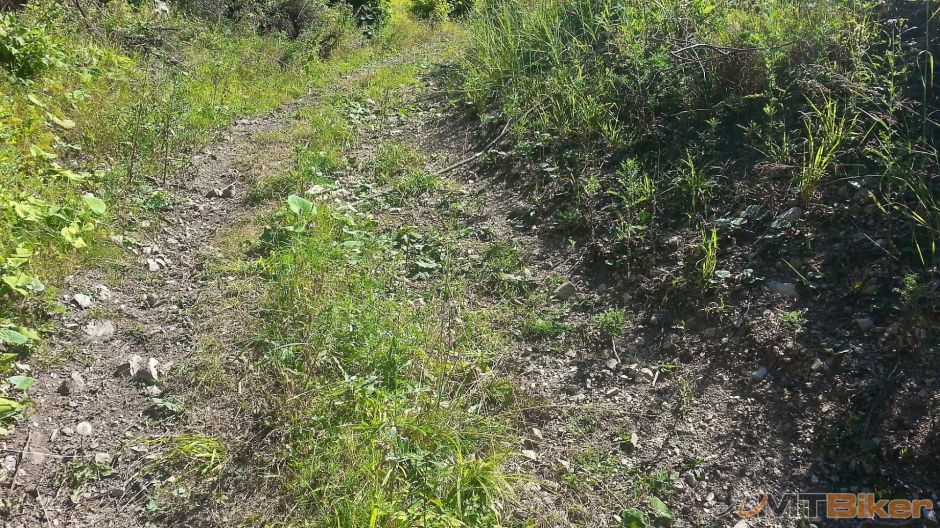 Kralovka 50-tka_05.jpg