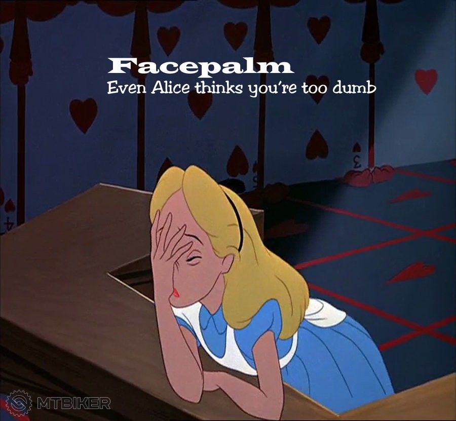 alice_facepalm_by_deathroman13-d40ihie.jpg