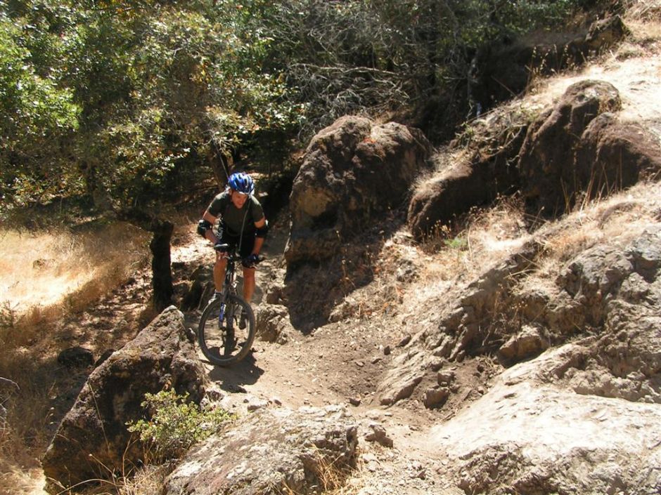 PICT0005 (Large).JPG