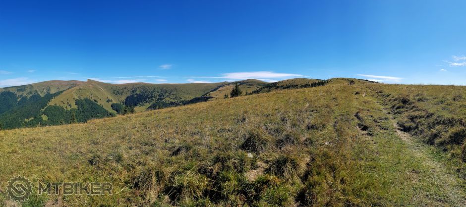 20180909_134407 (3).jpg