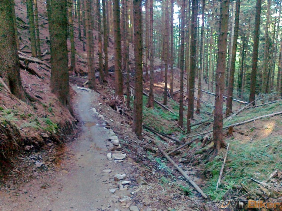 13082012002 (1024x766).jpg