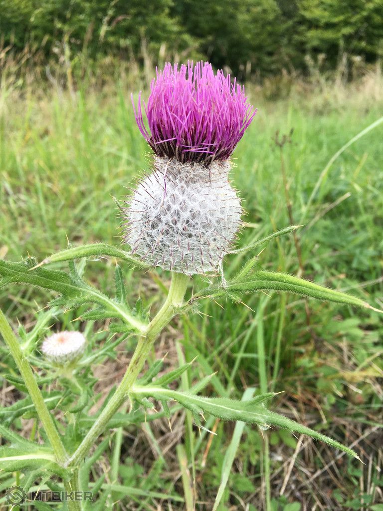 Photo 15-09-2017, 10 51 09.jpg