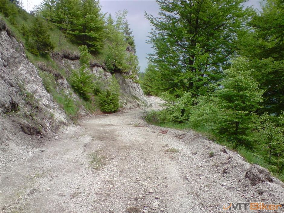 P210511_13.10[02] (Large).JPG