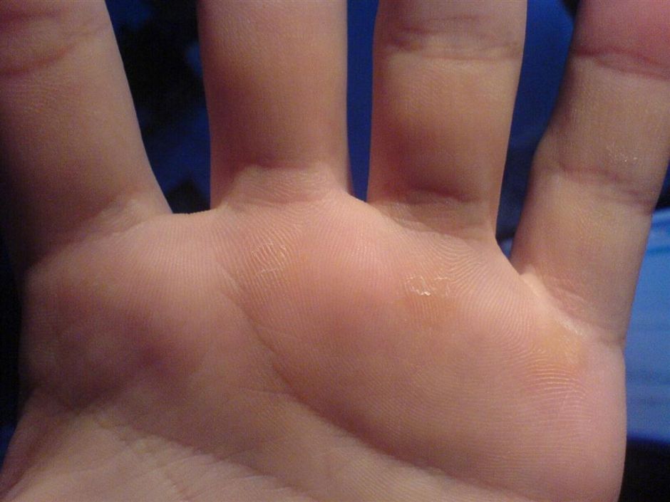 DSC01114 (Large).JPG