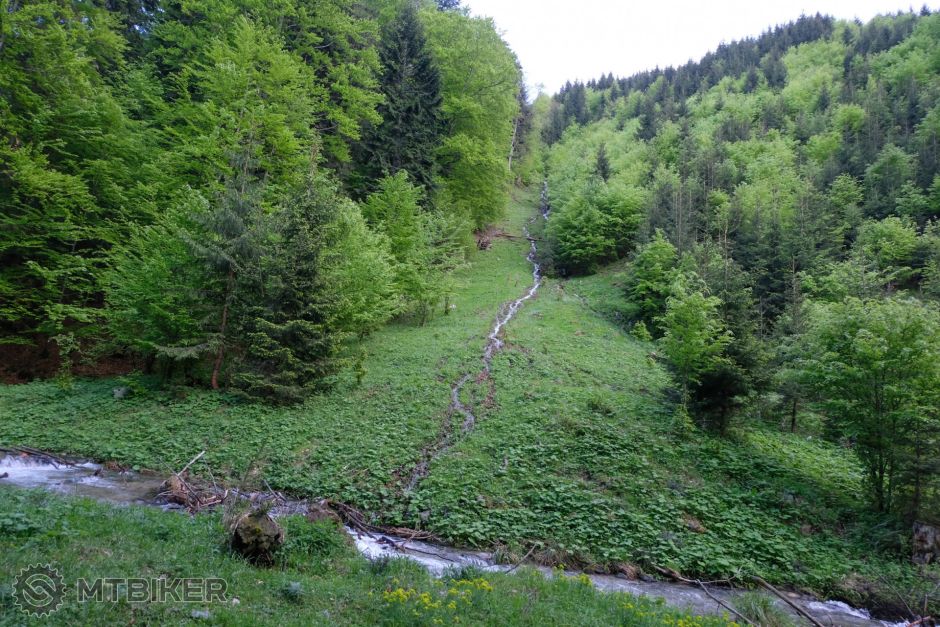 20190525_19-02-43_1-400 sec at f - 3,5_ISO 1000_24 mm_05MH3844.jpg