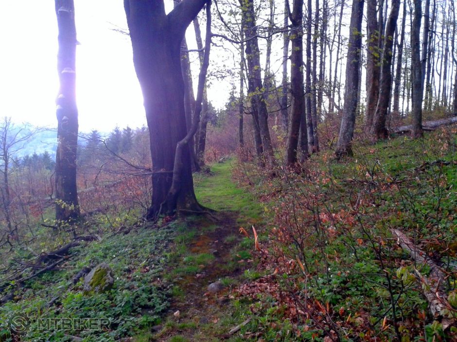 1-2015-05-10 16.51.48.jpg