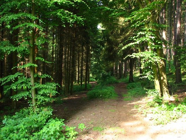 001_po cervenej z Hrusova_Turkovice.JPG