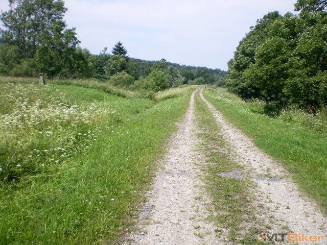 kraj obrazowy fakt.jpg