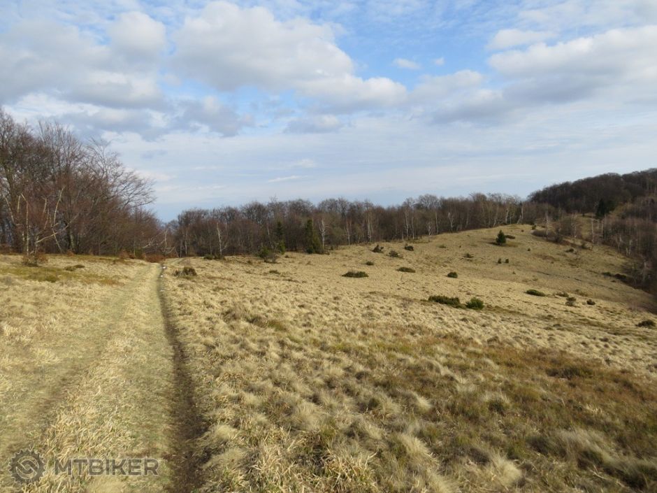 neďaleko Čergova.jpg