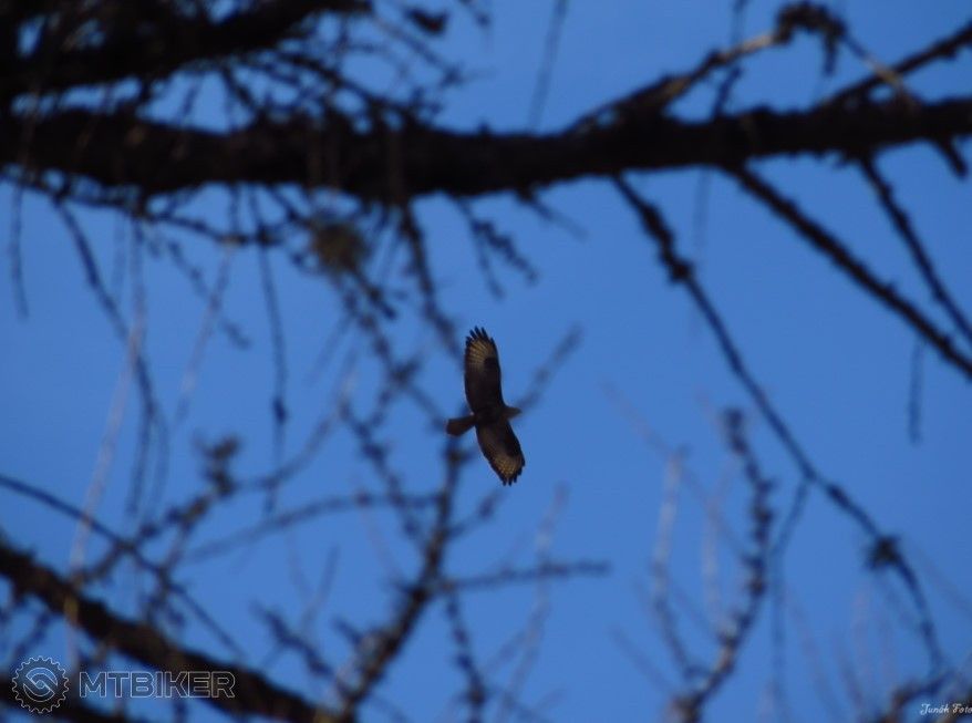 bandicam 2016-03-24 15-03-05-500.jpg