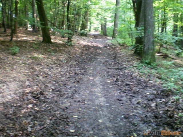 23.nehoruco..vlhko bolo akurat.jpg