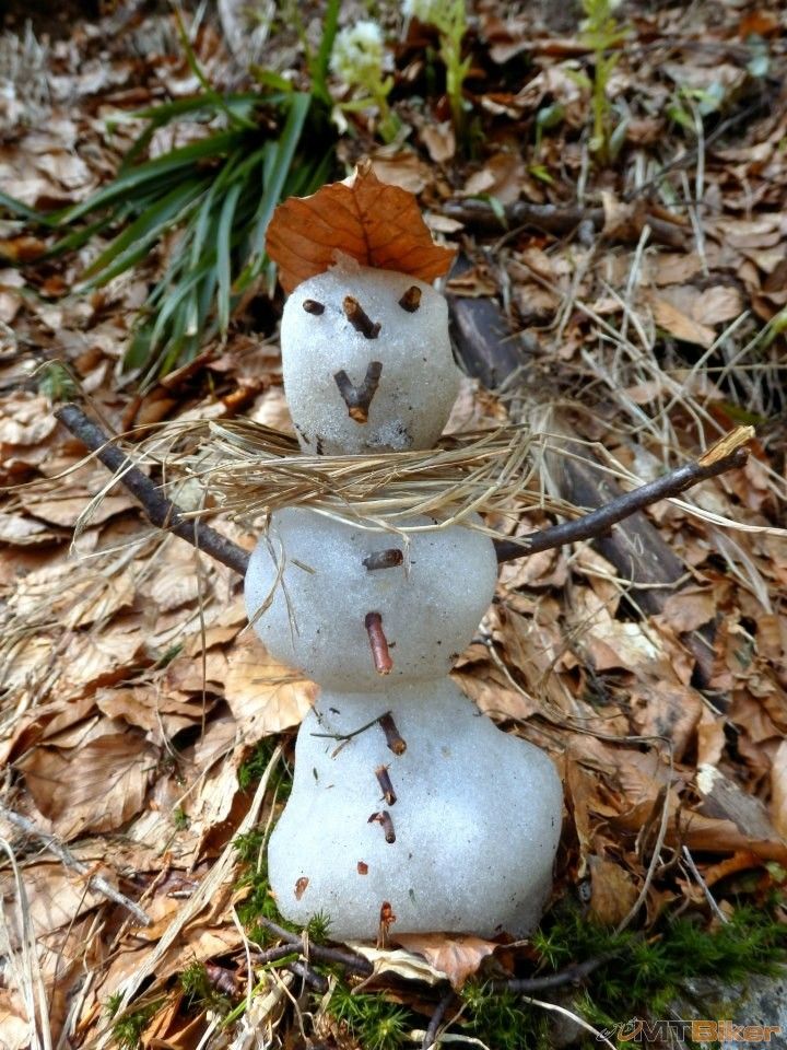 Posledný mohykán.JPG