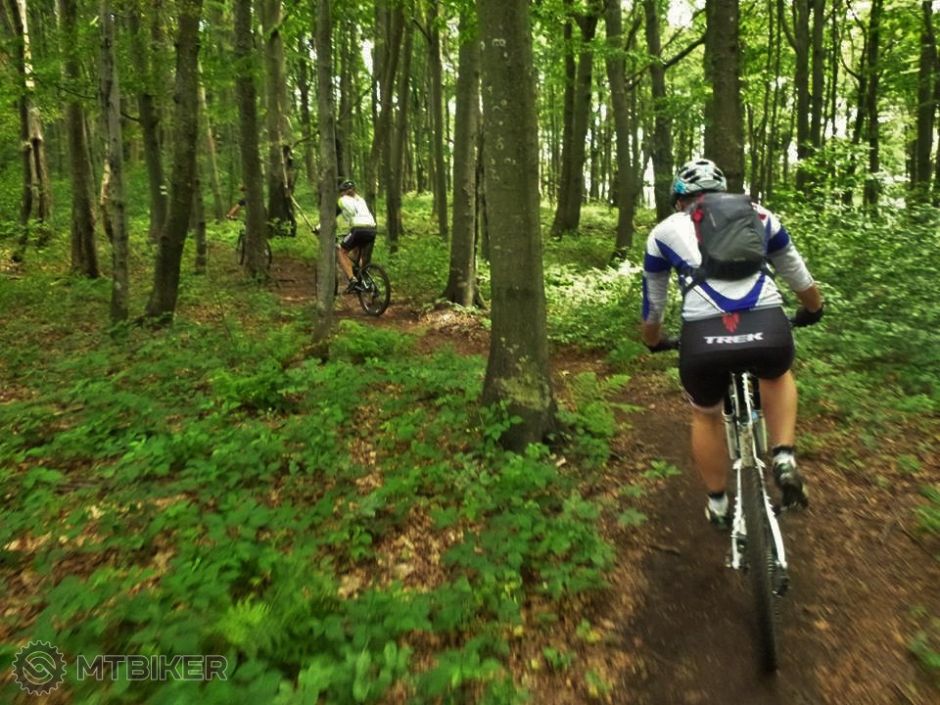 19849177_1648905258466799_279746626_n (2).jpg