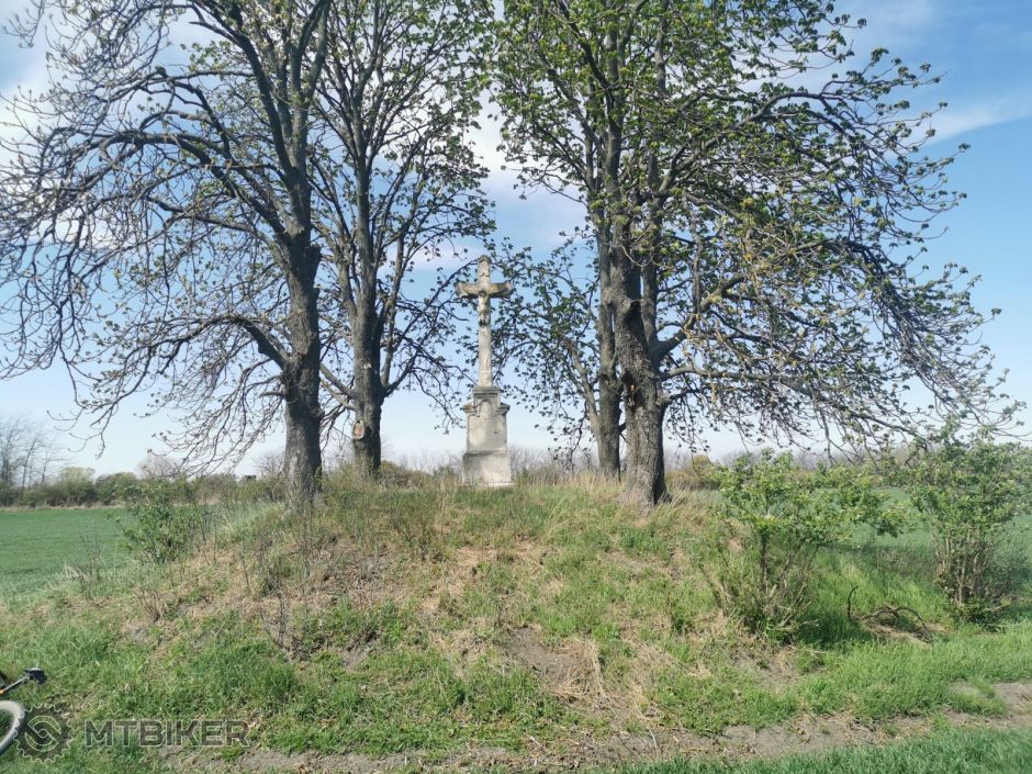 FOTO 20220414 (10).jpg