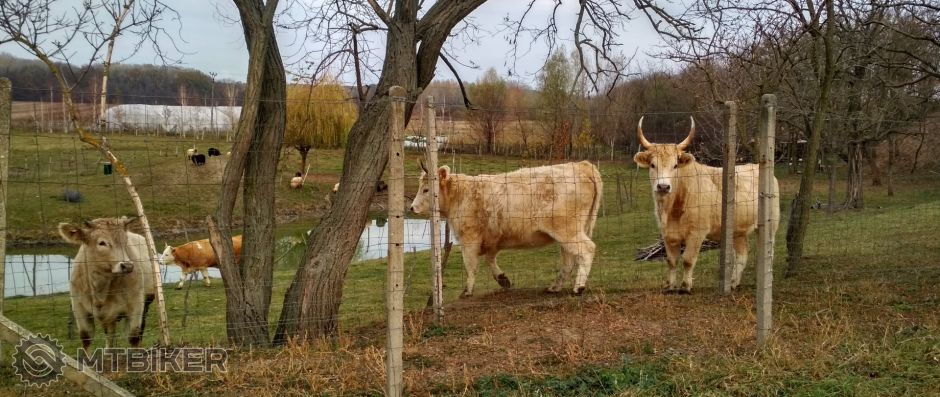 IMG_20181118_144520_HDR (2).jpg