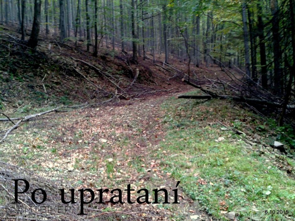 1-2015-10-06 17.21.27.jpg