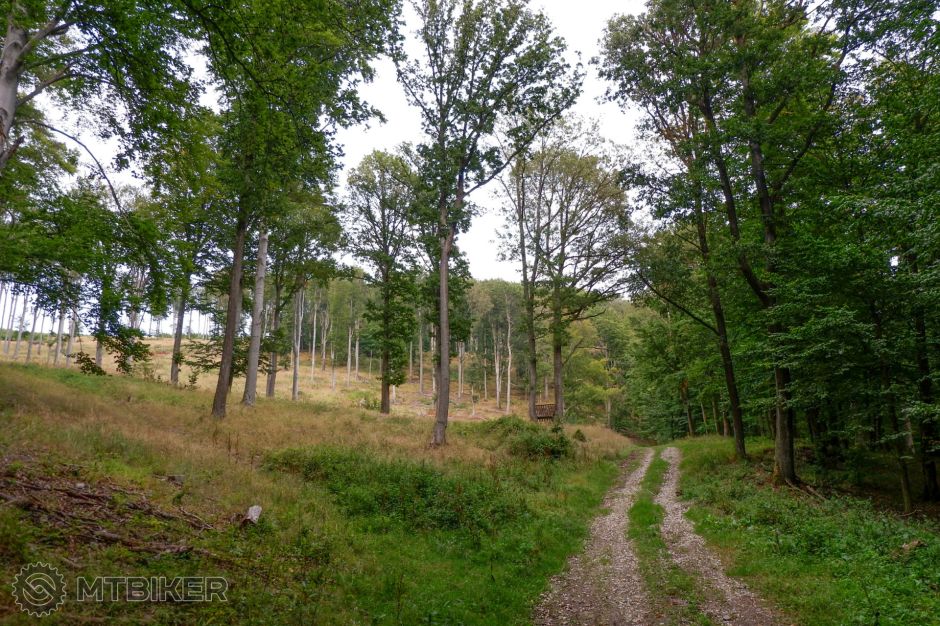 20190822_18-26-24_1-200 sec at f - 3,5_ISO 400_24 mm_PNJV2350.jpg